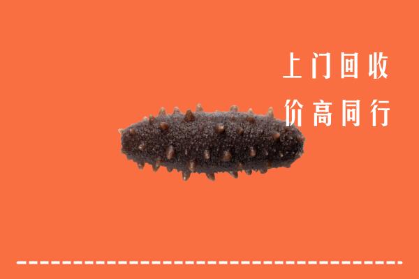 高价求购：呼伦贝尔新巴尔虎右回收海参